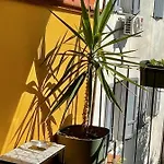 Appartement Rubra